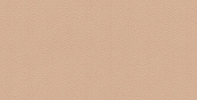 DID Trend Art R75028-5