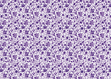 Marburg Gloockler Pompoos Provence 35640